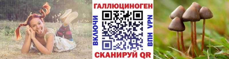 Галлюциногенные грибы мухоморы  Жуковка 
